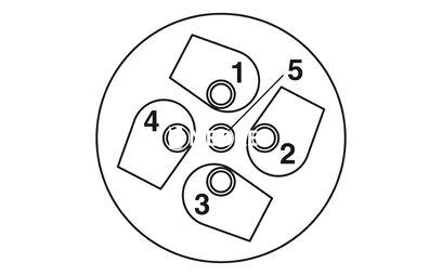 Conector, 5-polos, Conector macho recto M12, codificado A, Conexión por tornillo, material de moleteado: Plástico, prensaestopas Pg11-DUO, diámetro exterior del cable 2,1 mm ... 3 mm / 4 mm ... 5,2 mm