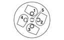 Conector, 5-polos, Conector macho recto M12, codificado A, Conexión por tornillo, material de moleteado: Plástico, prensaestopas Pg11-DUO, diámetro exterior del cable 2,1 mm ... 3 mm / 4 mm ... 5,2 mm