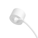 CORMARTE BLANCO