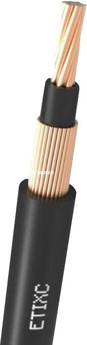 Anti-Hurto 2 x 4mm