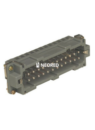 [STESMB06] NUCLEO HEMBRA 06 POLOS